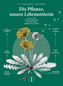 Der Ratgeber "Die Pflanze, unsere Lehrmeisterin" vermittelt altes Wissen über einen hochaktuellen Ansatz. Foto: djd/Verlag Peter Jentschura