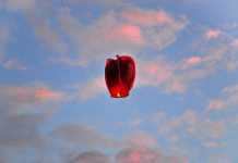 Ritual zum Neumond im Juni: In Liebe loslassen