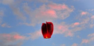 Ritual zum Neumond im Juni: In Liebe loslassen