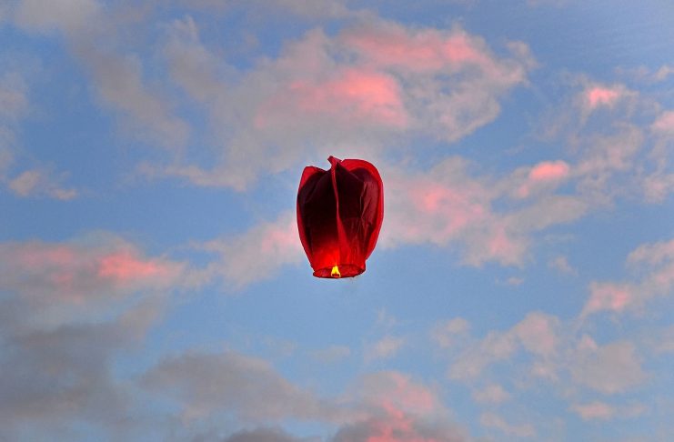 Ritual zum Neumond im Juni: In Liebe loslassen