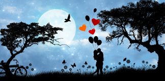 Buchtipp: Wahrheit Seelenpartner: Lernaufgaben der weiblichen Seelenpartnerin