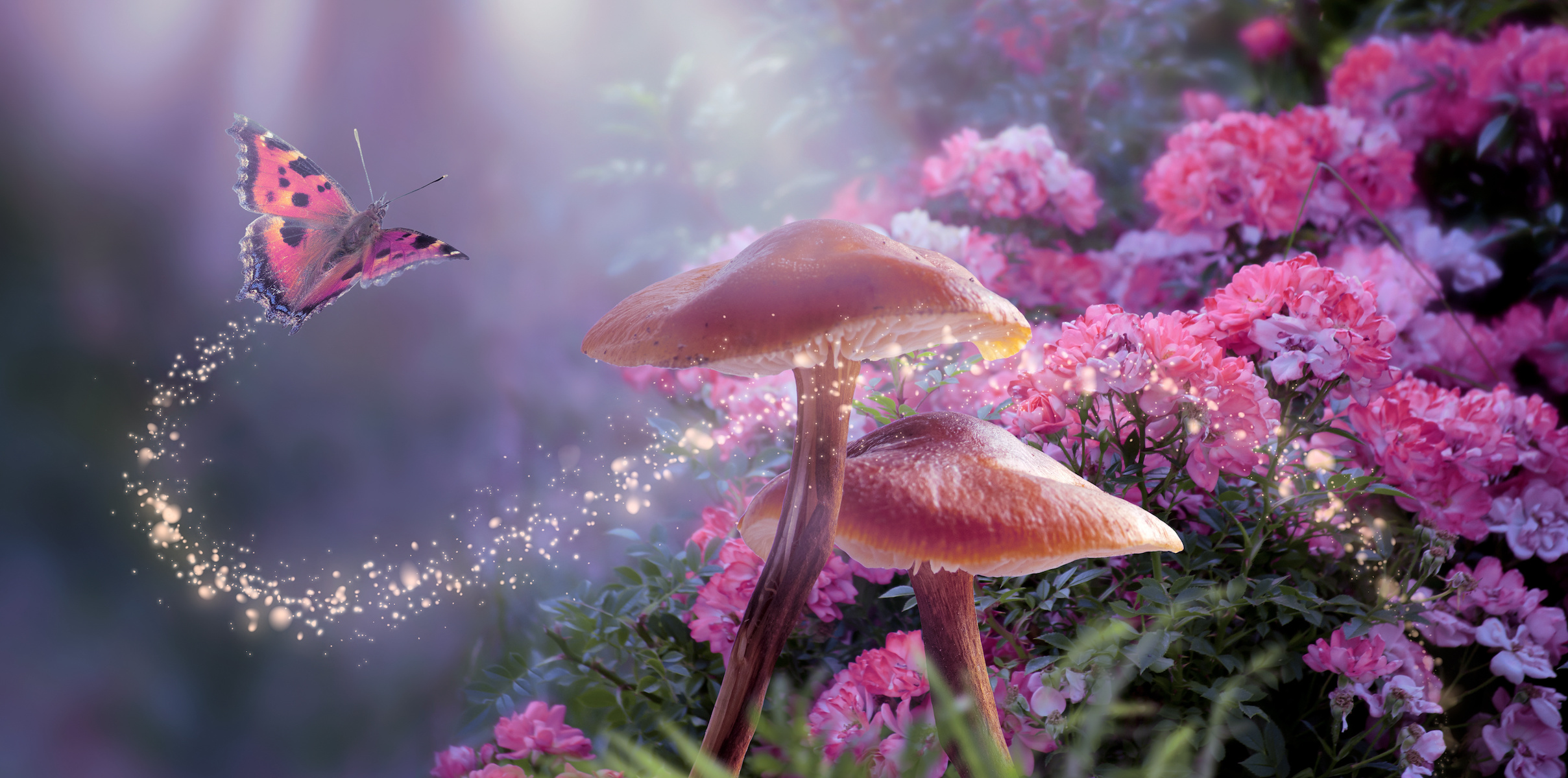 Fantasy Magical Mushrooms and Butterfly in enchanted Fairy Tale dreamy elf Forest with fabulous Fairytale blooming pink Rose Flower on mysterious Nature background and shiny glowing moon rays in night